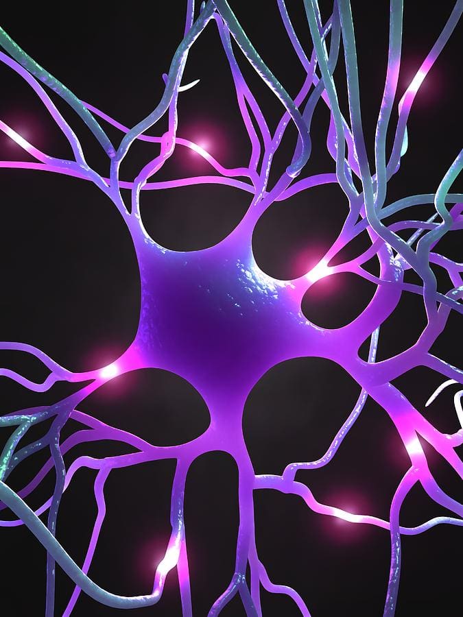 Nerve Cell Art